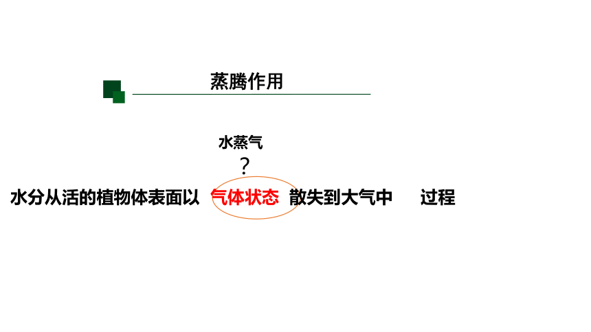 4.5植物的叶与蒸腾作用(课件 17张PPT)