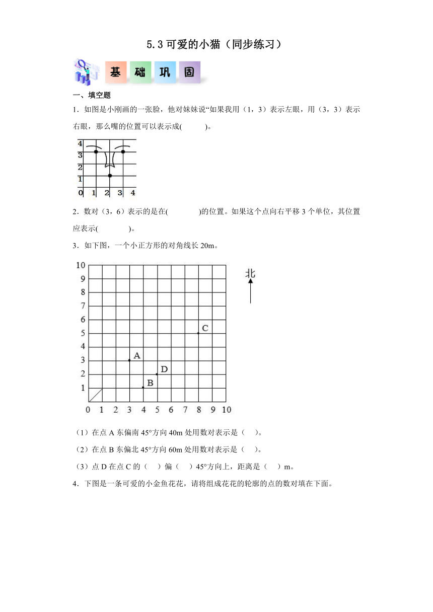 六年级数学下册（北师大版）5.3可爱的小猫（同步练习）（含解析）