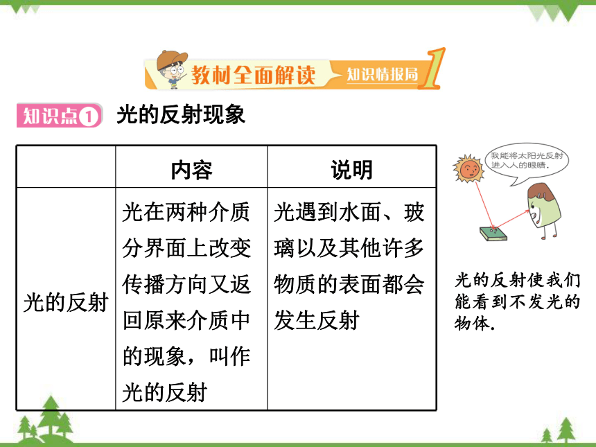 粤沪版物理八年级上册 3.2 探究光的反射规律 复习课件(共48张PPT)