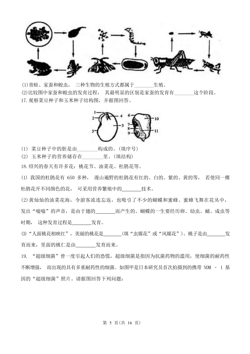 第1章 代代相传的生命 单元测试卷（含解析）