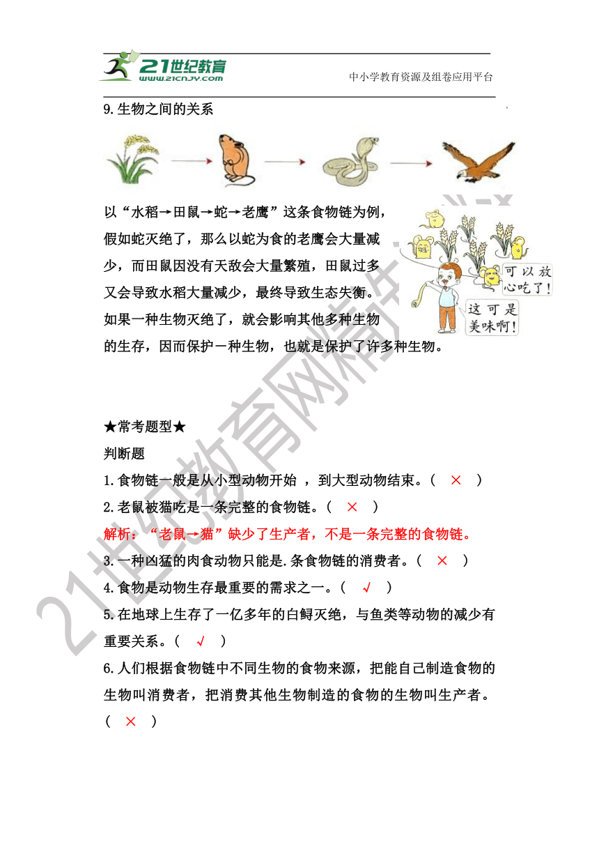 【新版 知识梳理及精典考题】五年级科学下册1.6食物链和食物网