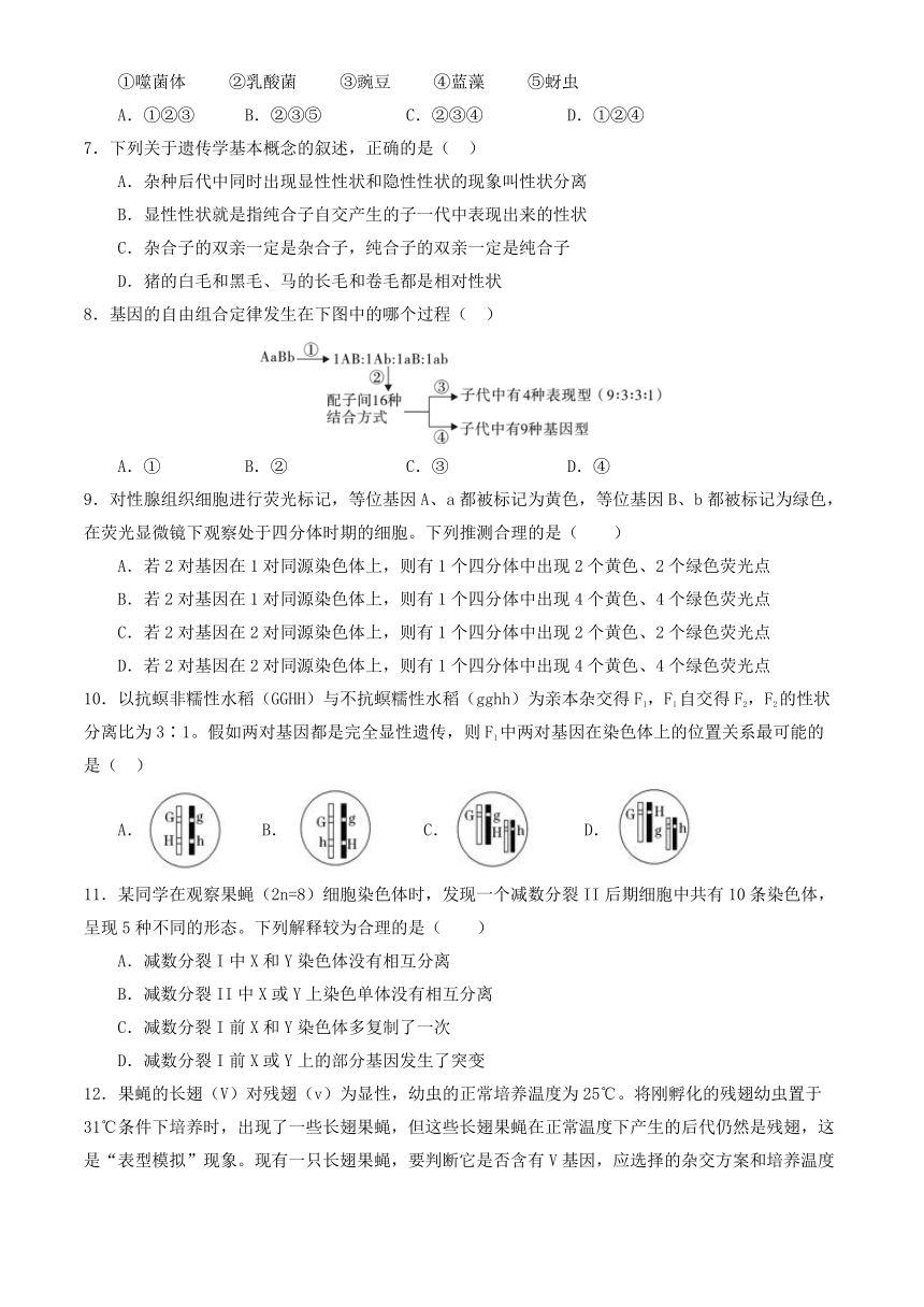 北京市顺义区第一中学2022-2023学年高一下学期6月月考生物学试题（Word版含答案）