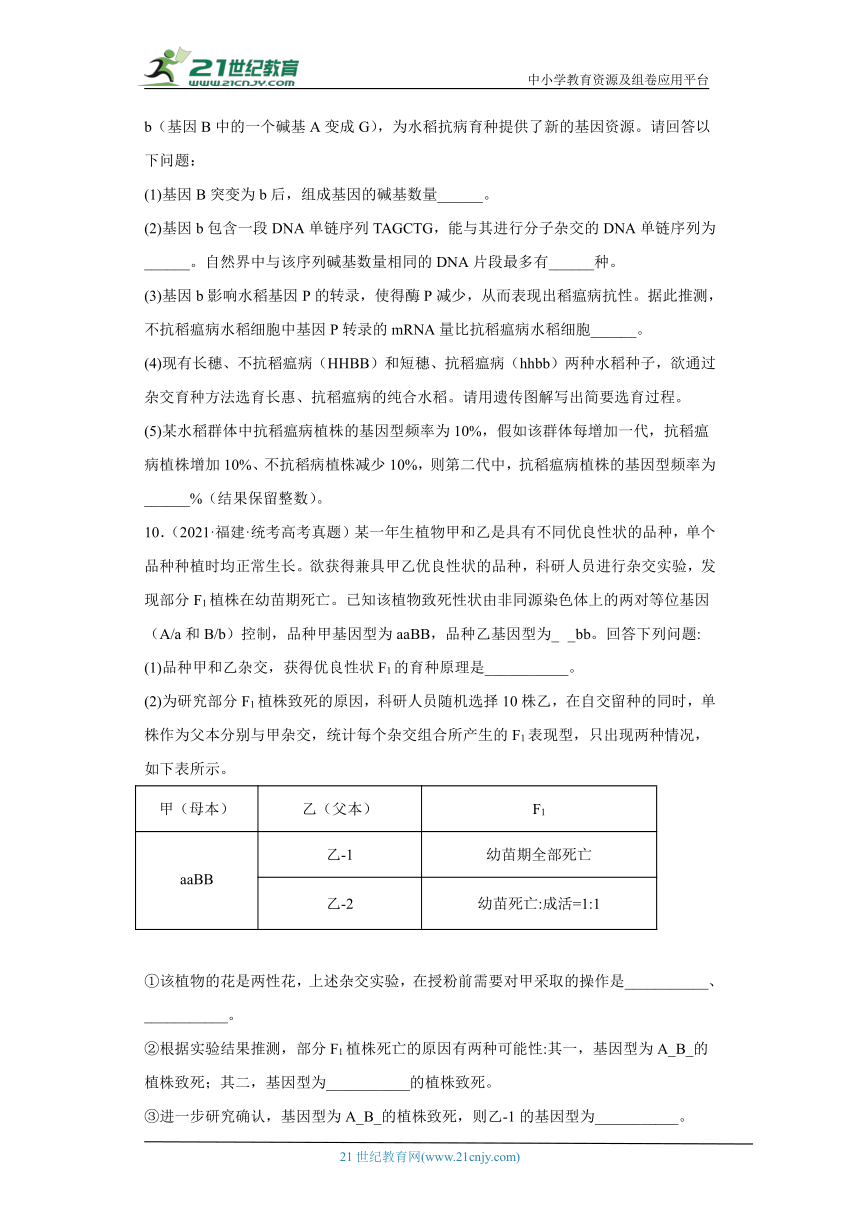 五年2018-2022高考生物真题按知识点分类汇编47-育种-杂交育种、诱变育种、单倍体育种、多倍体育种等（含解析）