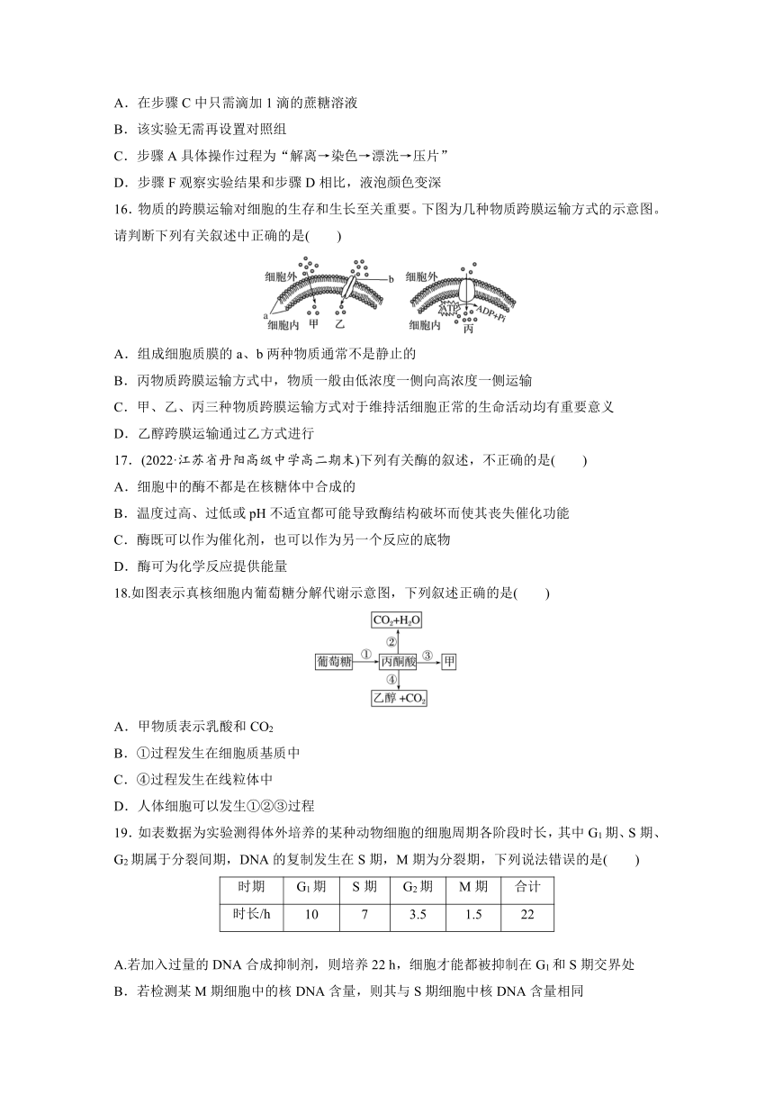 2022-2023学年苏教版2019高中生物必修1 模块检测试卷(一)（word含解析）