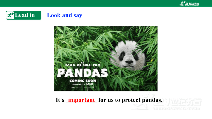 【新课标】Unit 5 save the endangered animals period 3 Grammar课件