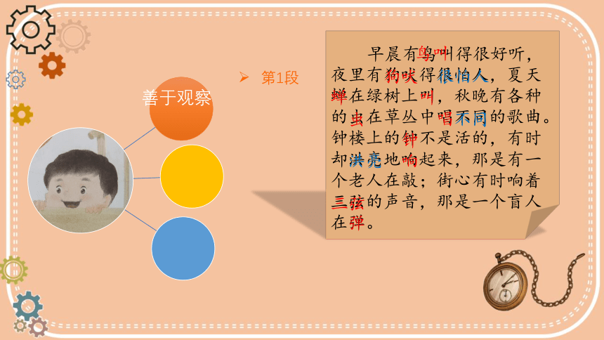 16.《表里的生物》 课件 （21张）