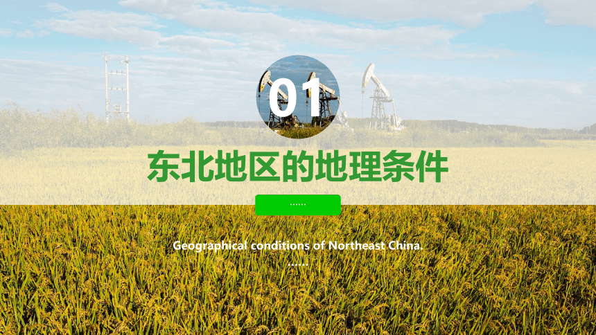 [2022版] 高考一轮复习 第22讲 区域农业发展——以我国东北地区为例 EN-Agricultural课件(共108张PPT)