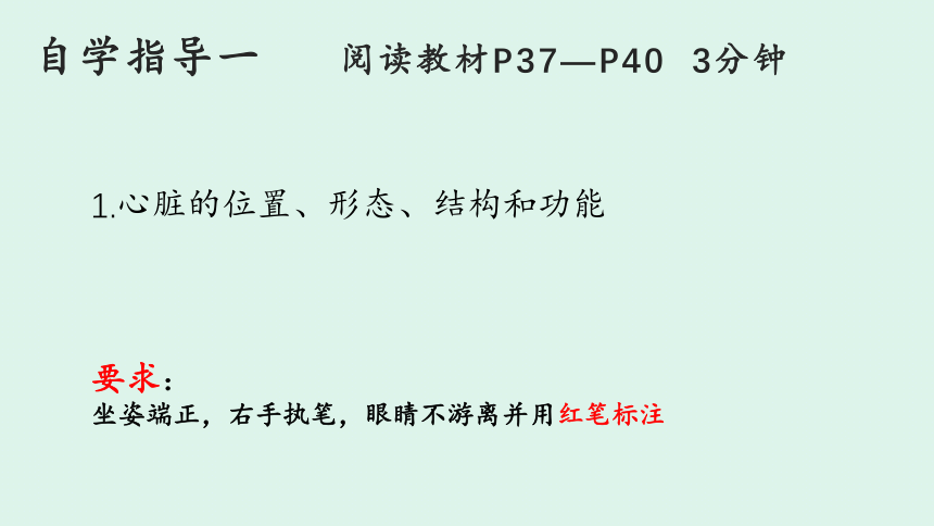 第四单元第9章 第2节 血液循环 （第2课时）课件(共21张PPT)2022-2023学年北师大版生物七年级下册
