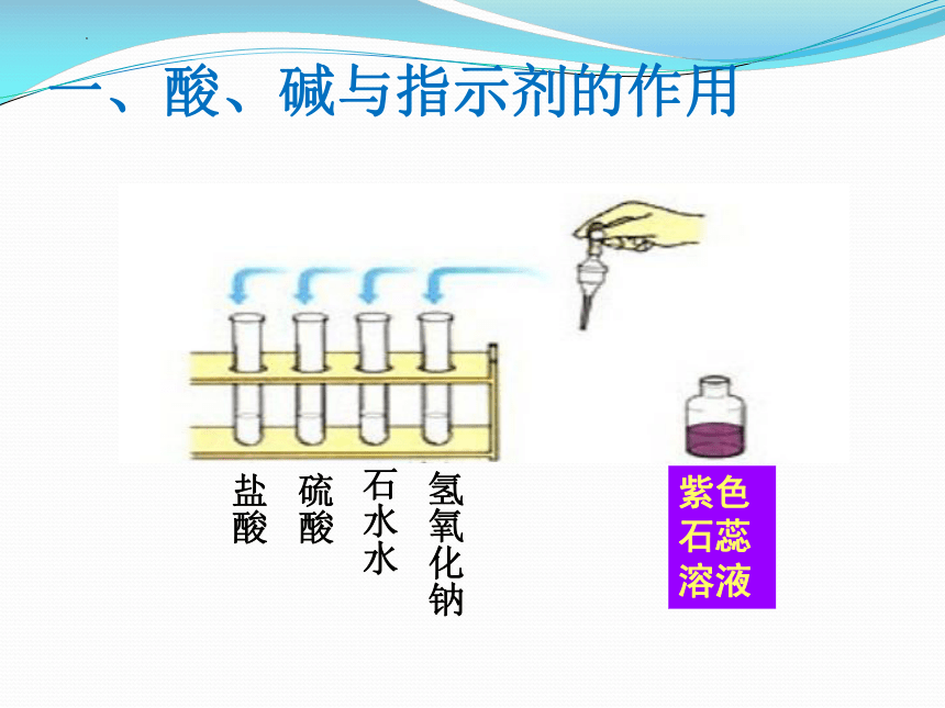 10.1 常见的酸和碱课件(共29张PPT)—2022-2023学年九年级化学人教版下册