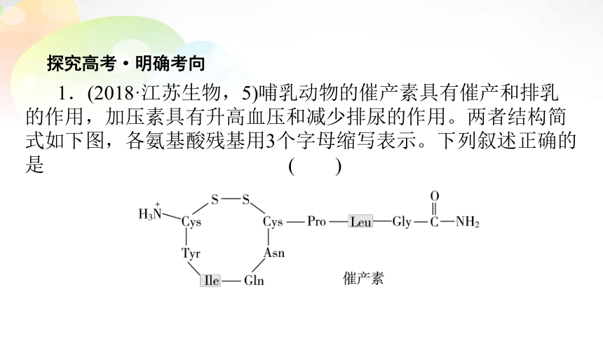 必修1 第1单元 第2讲 生命活动的主要承担者——蛋白质 课末总结(共14张PPT）