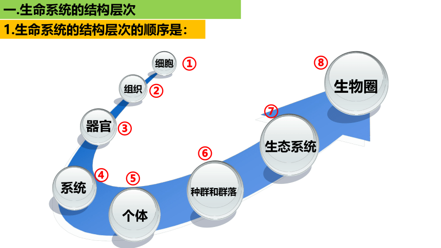 新人教必修1专题复习课件：02 生命系统的结构层次(共26张PPT)