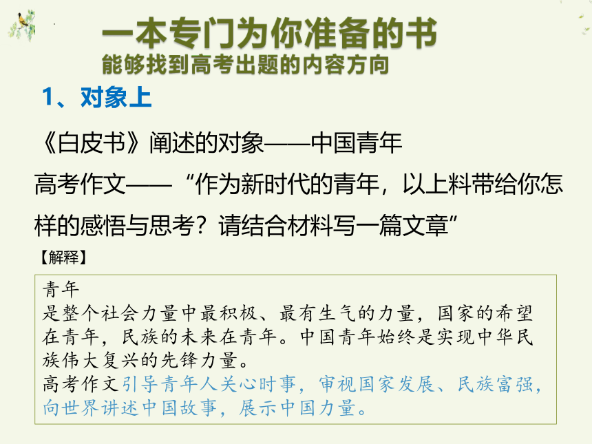 2023届高考作文复习： 青年白皮书与高考作文  课件(共27张PPT)