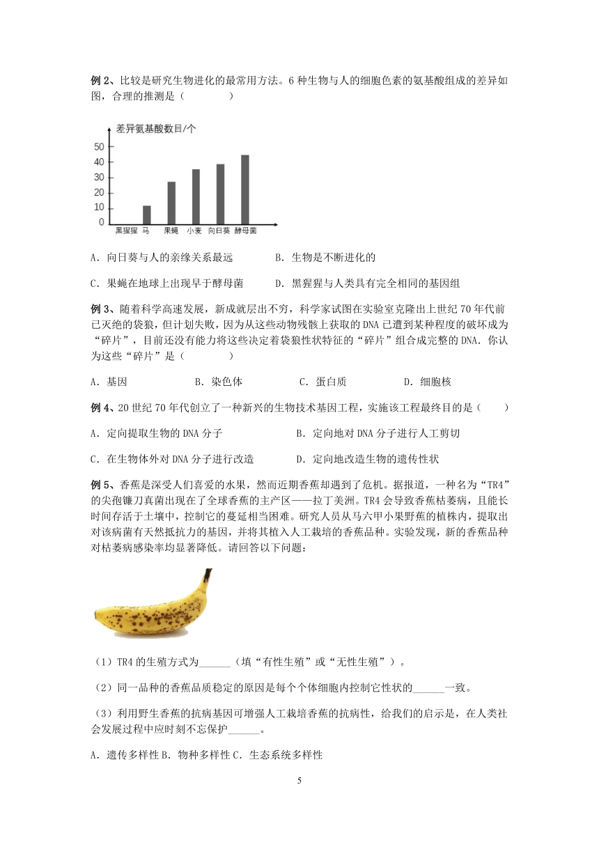 浙教版九年级下册科学“培优提高”讲义（五）：遗传与变异【word，含答案解析】