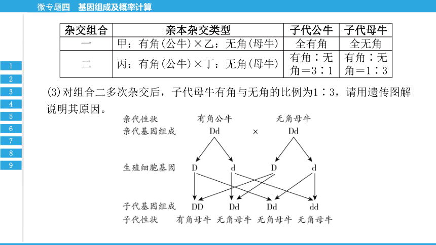 微专题四 基因组成及概率计算-2023年中考生物复习习题课件(共21张PPT)