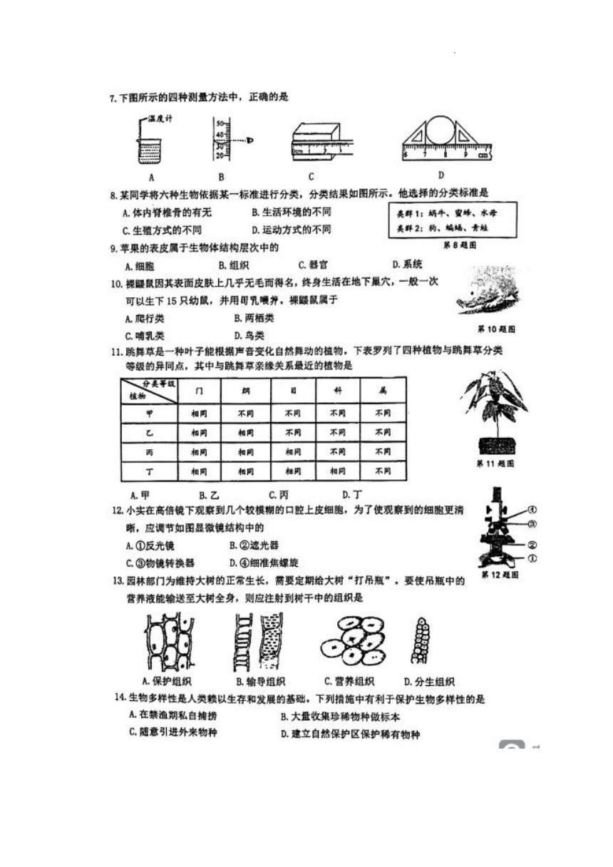 浙江省温州市实验中学2022-2023学年第一学期七年级科学期中考试试卷（图片版，无答案）