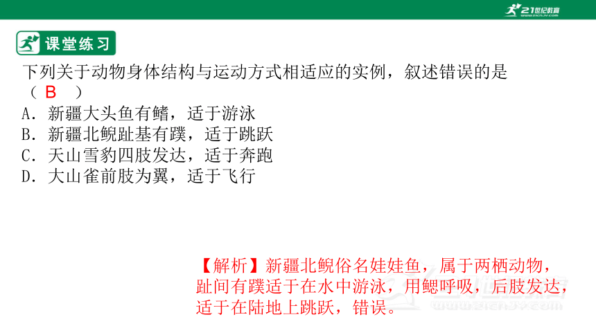 人教版5.2.1 动物的运动-2022-2023学年八年级生物上册 同步课件(共35张PPT)