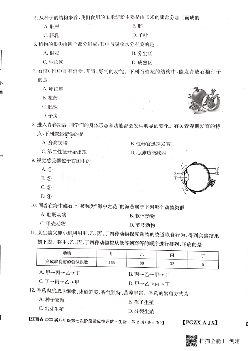 江西省上饶市余干县2022--2023学年八年级下学期第七次阶段适应性评估生物试卷（PDF版无答案）