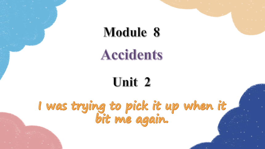 外研版八年级上册Module 8 Unit 2 I was trying to pick it up when it bit me again课件(共17张PPT)