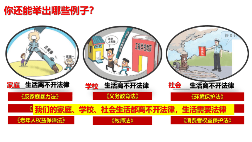 9.1 生活需要法律 课件(共22张PPT)-2023-2024学年统编版道德与法治七年级下册