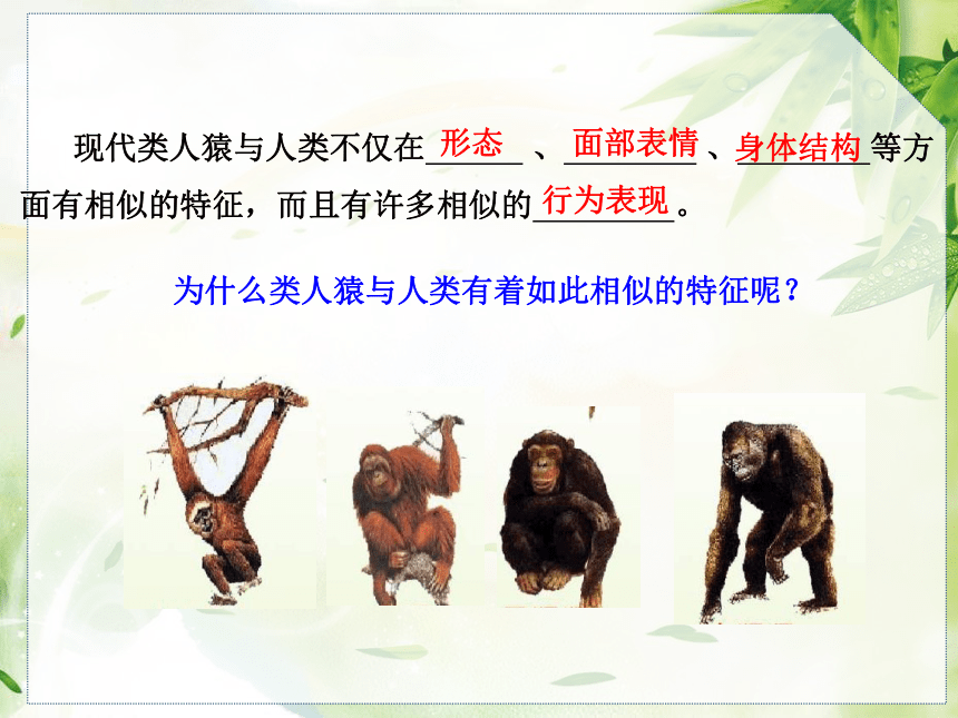北师大版 7.21.3 人类的起源与进化 课件（46张PPT）