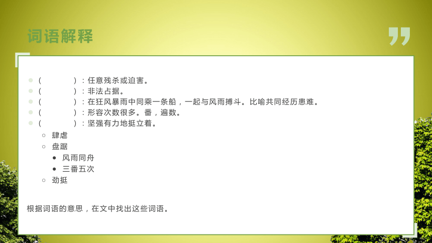 第19课《青山不老》课件（共24张PPT）2021—2022学年部编版（五四学制）语文六年级下册