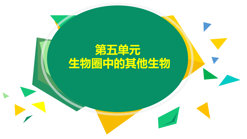 2021--2022学年人教版生物八年级上册5.1.2线形动物和环节动物课件(共28张PPT)