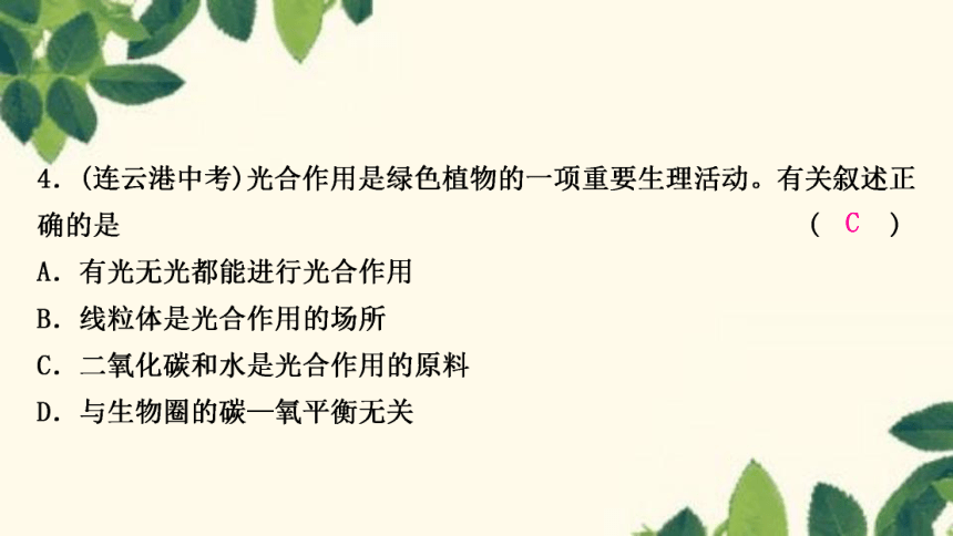 人教版生物七年级上册 期末复习专题(四)　第三单元 第三～六章 复习课件(共22张PPT)