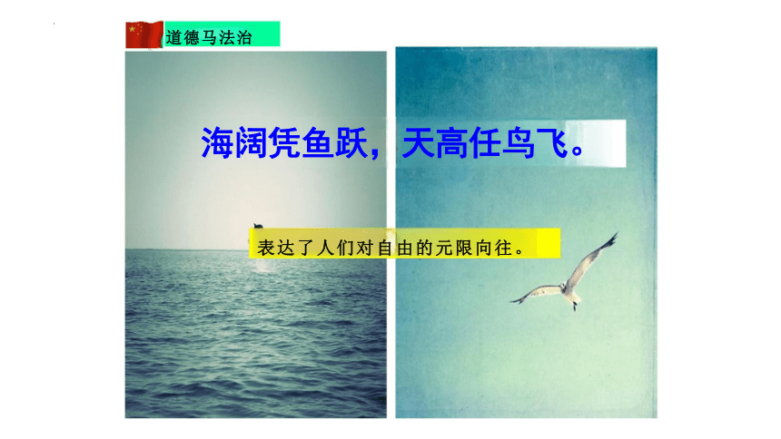 7.1 自由平等的真谛 课件(共23张PPT)-2023-2024学年统编版道德与法治八年级下册