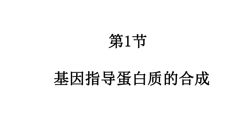 2020-2021学年高一生物（人教版（2019）必修二）4.1 基因指导蛋白质的合成  课件（41张PPT）