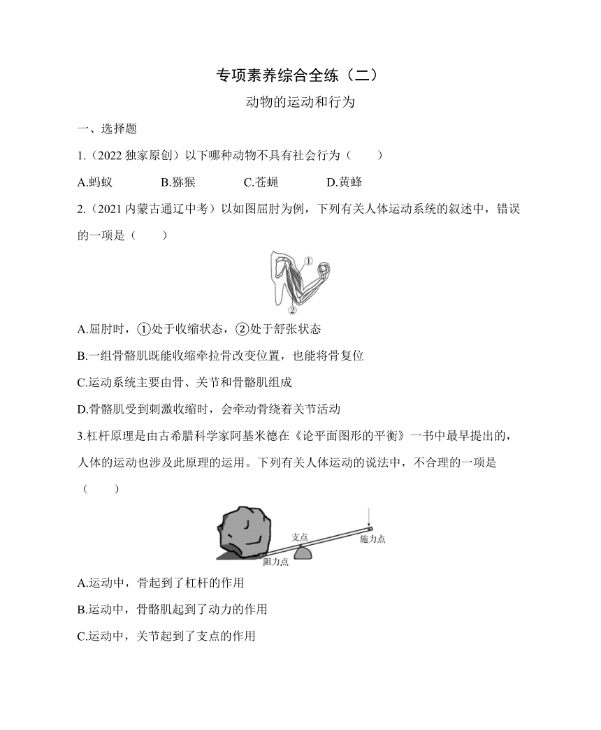 鲁科版五四制八年级上册生物期末复习专项素养全练(二)    动物的运动和行为（含解析）