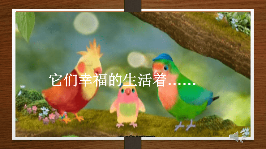 沪教版 一年级上册美术 第5课 有小鸟的树｜课件（35张PPT）