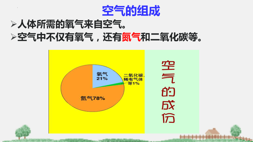 2021-2022学年苏教版生物七年级下册10.4人体内的气体交换课件(共24张PPT)