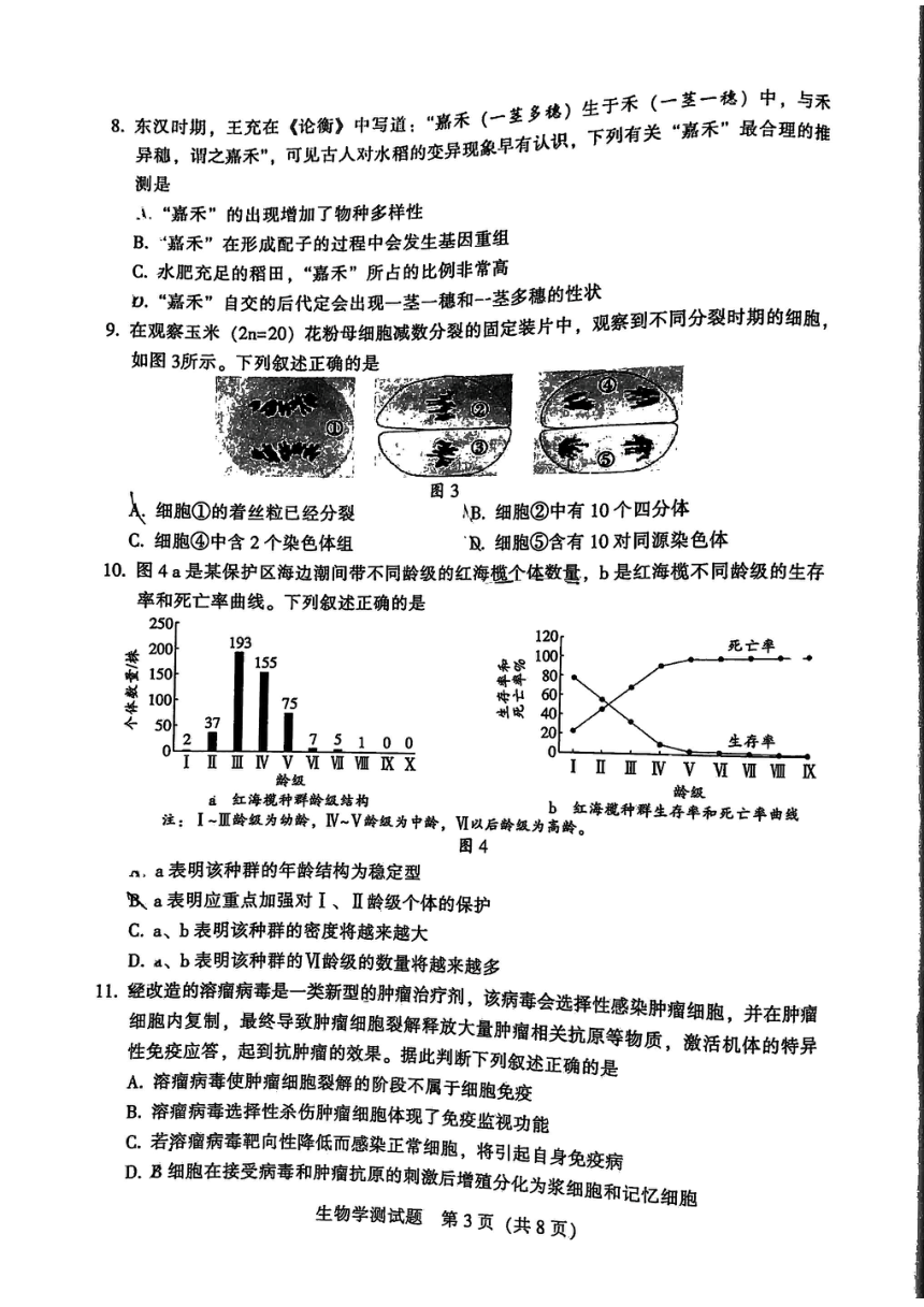 2023韶关高考二模高考生物试题（PDF版无答案）