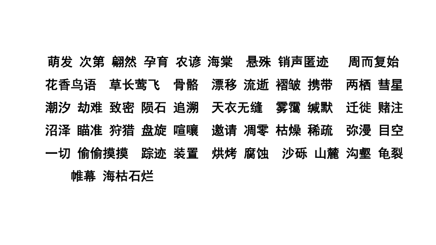 2020—2021学年部编版语文八年级下册期中复习课件（共30张PPT）