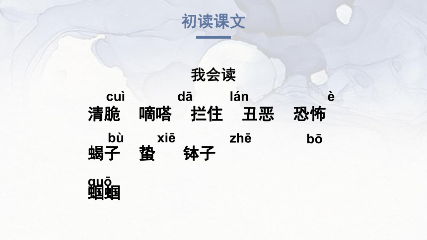 16 表里的生物 课件（54张PPT）