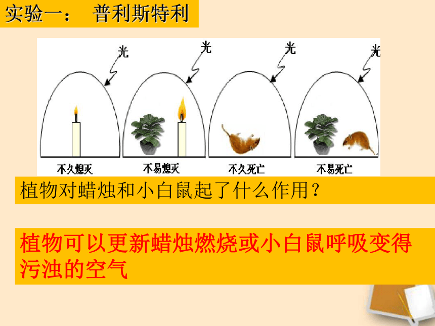 2021-2022学年人教版生物七年级上册3.5 绿色植物与生物圈中的碳—氧平衡（复习课）课件(共33张PPT)