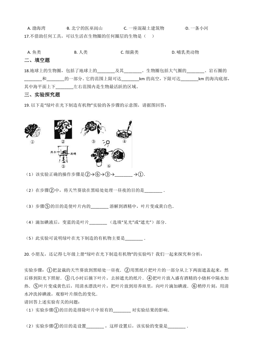 2020-2021学年华东师大版科学七年级下册 5.3生物圈  同步练习(含解析)