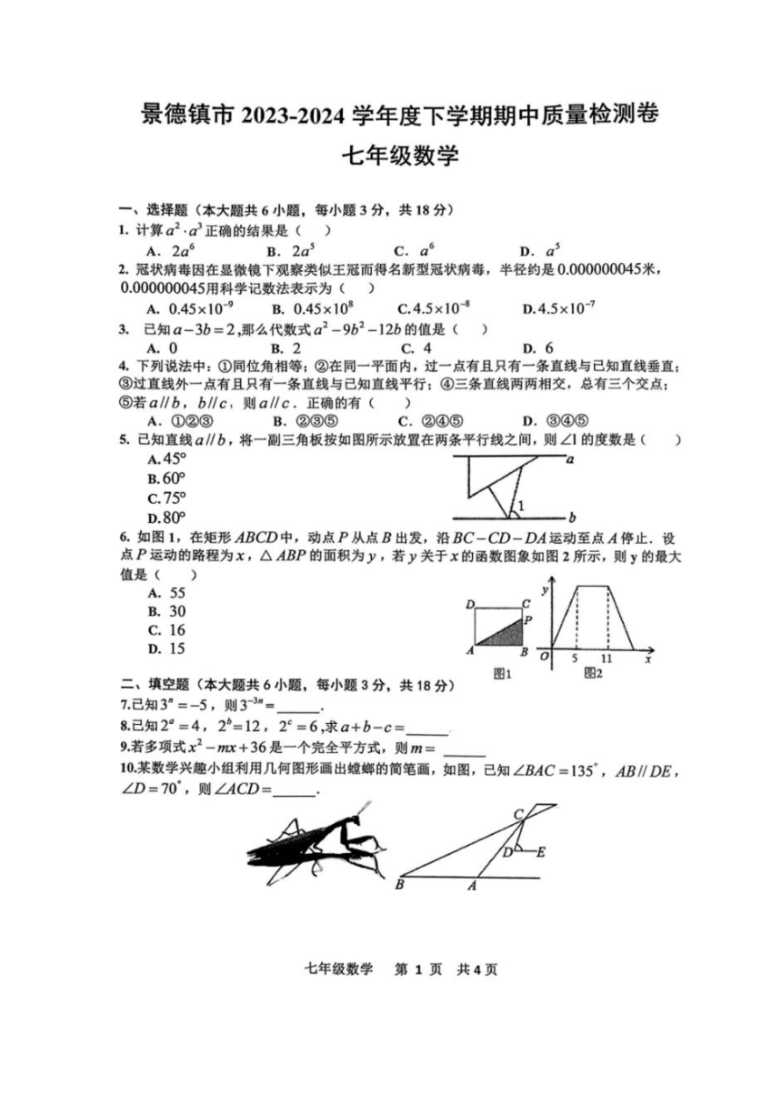 江西省景德镇市2023-2024学年下学期七年级数学期中试卷（图片版、无答案）