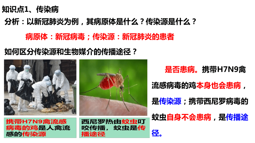 2023年中考生物考点三 健康的生活复习课件(共28张PPT)