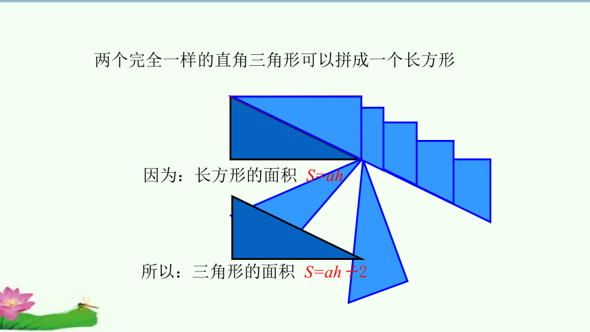 梯形的面积（课件）人教版五年级上册数学（共24张ppt）