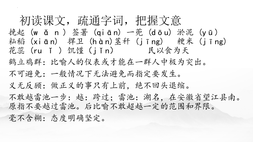 高中语文统编版必修上册4.1《喜看稻菽千重浪》（共35张ppt）