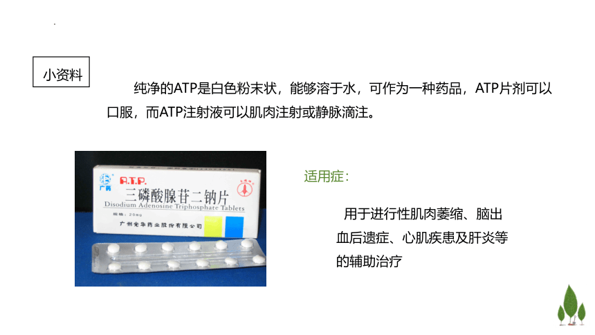 3.1  ATP是细胞内的”能量通货“课件（44张ppt，含1个视频）-高一生物学（浙科版2019必修1）