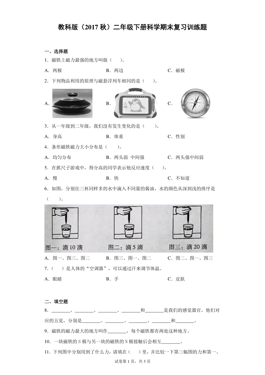 教科版（2017秋）二年级下册科学期末复习训练题（含答案）