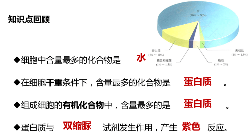 生物人教版（2019）必修1 2.4 蛋白质是生命活动的主要承担者（共51张ppt）