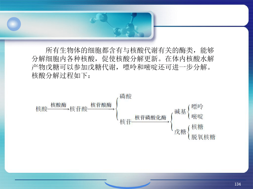 4.细胞内生物分子的新陈代谢_5 课件(共62张PPT）- 《环境生物化学》同步教学（机工版·2020）