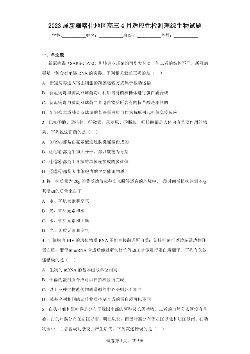 2023届新疆喀什地区高三4月适应性检测理综生物试题(含答案)