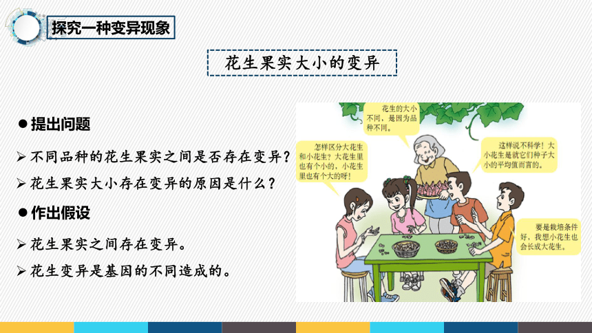 7.2.5 生物的变异课件(共17张PPT)