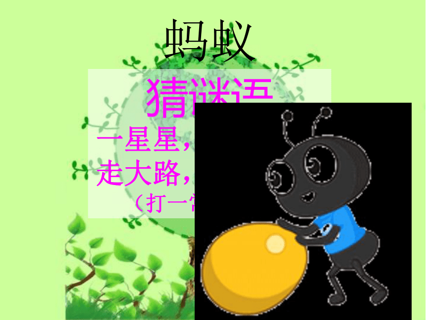 三年级下册综合实践活动课件- 蚂蚁｜粤教版  (共15张PPT)