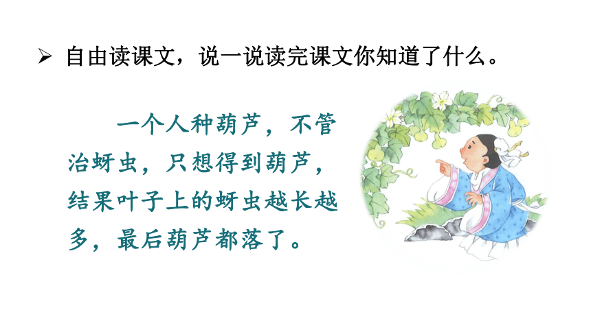 14 我要的是葫芦课件（35张PPT)