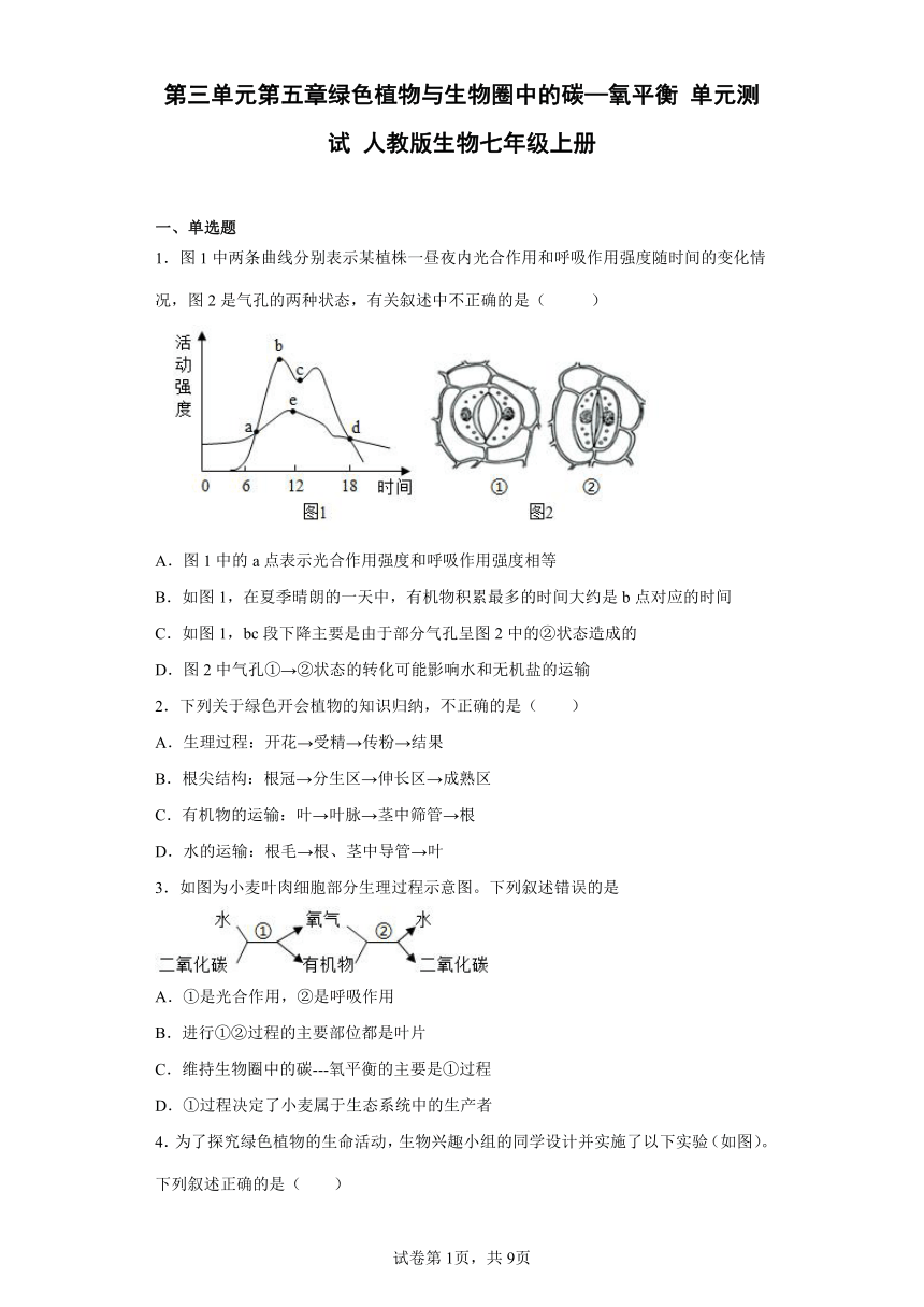 人教版生物七年级上册 第三单元第五章绿色植物与生物圈中的碳—氧平衡 单元测试 （word版 含解析）